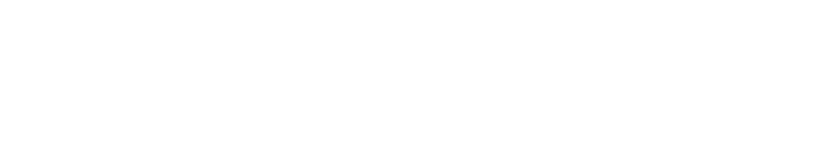 Fraudmarc Logo White